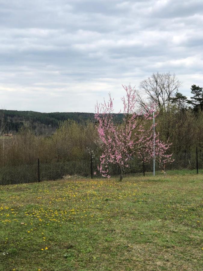فيلا Landhaus Suedburgenland Olbendorf المظهر الخارجي الصورة